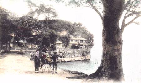 area1hon.jpg (26417 bytes)