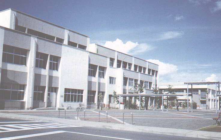 newyohi2.jpg (48690 bytes)