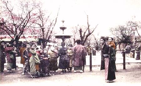 parkyams.jpg (31818 bytes)