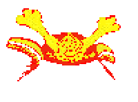 shgn3.gif (2129 bytes)