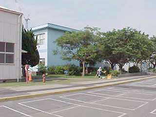 sullivn4.jpg (11221 bytes)