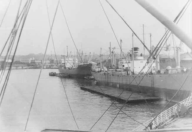 47port19.jpg (26043 bytes)