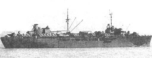 ecollins.jpg (14428 bytes)