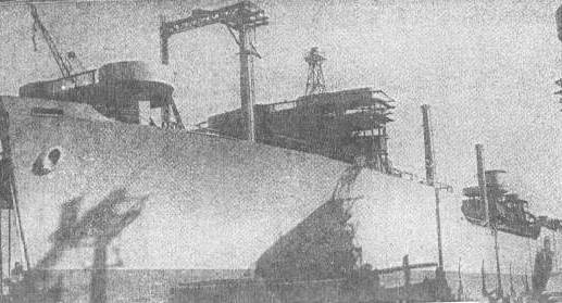 panther.jpg (30248 bytes)