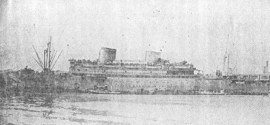 paula.jpg (23543 bytes)