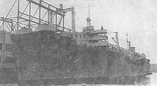 raven.jpg (29519 bytes)