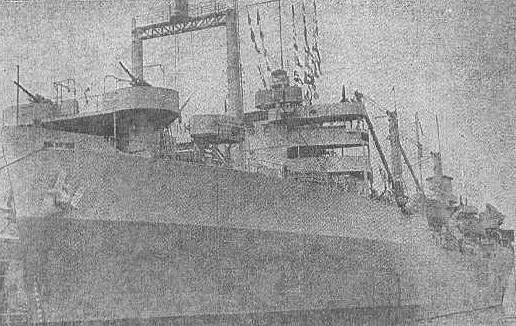 robin.jpg (42787 bytes)