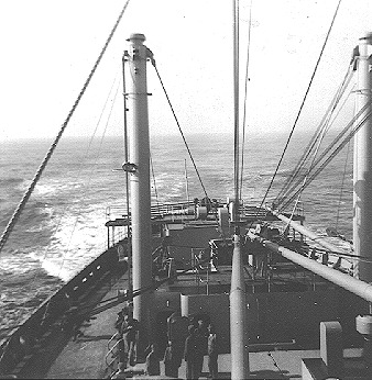 scott2.jpg (50432 bytes)