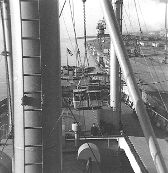 scott3.jpg (47801 bytes)