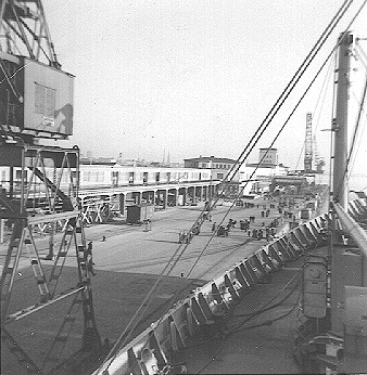 scott7.jpg (58166 bytes)