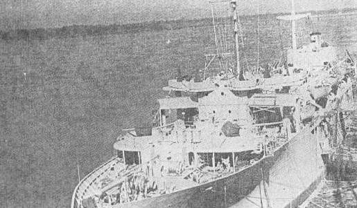 shark.jpg (36456 bytes)