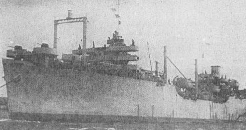 wolf.jpg (23403 bytes)