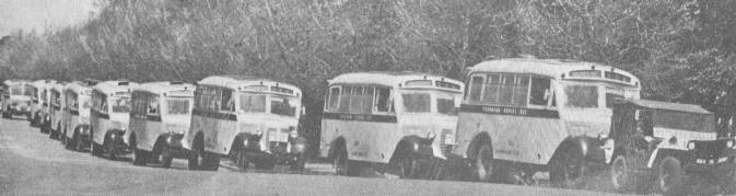 49bydbs1.jpg (21932 bytes)