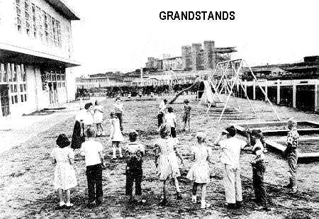 50neggs.jpg (32147 bytes)