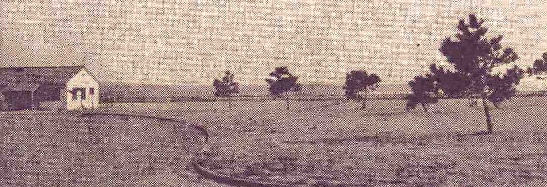 mcgill-5.jpg (69157 bytes)