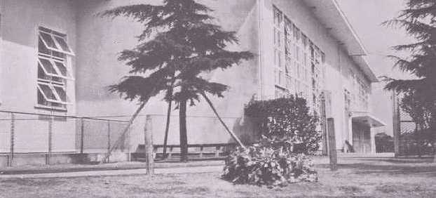 negishi2.jpg (23174 bytes)