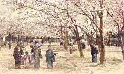 park.jpg (18273 bytes)