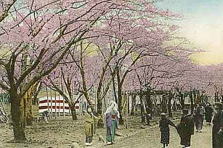 park2.jpg (31251 bytes)