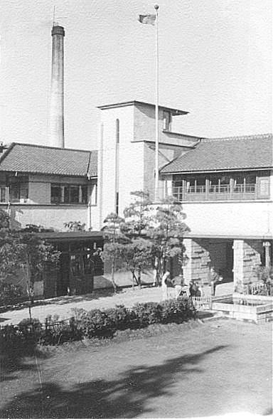 yohipic1.jpg (38985 bytes)